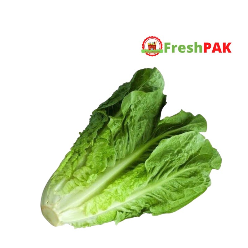 

FreshPAK - Sayur Lettuce Romain Per Pcs 150-300gr / Lettuce Romaine / Sayur Segar