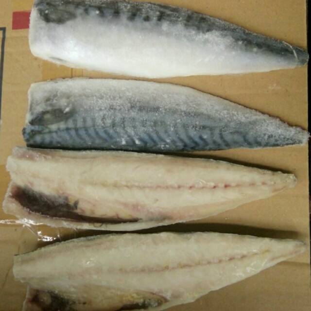

Ikan saba/ikan makarel