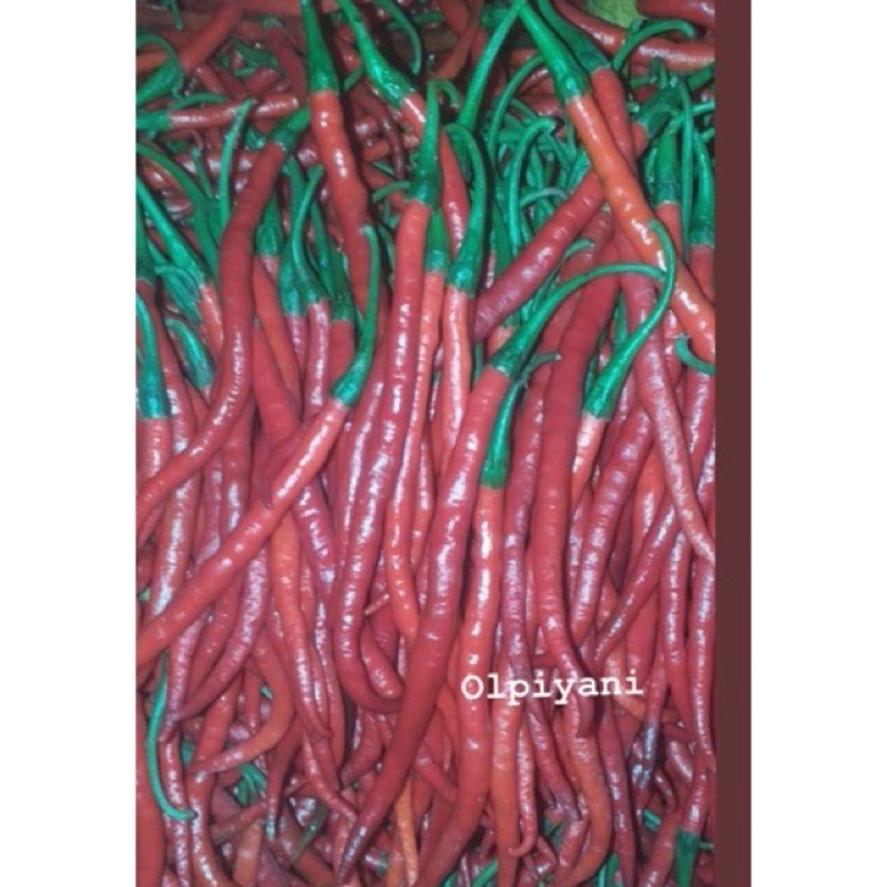 Cabe Keriting merah 1kg