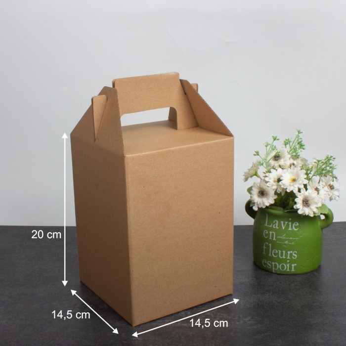 

KARDUS JINJING HAMPERS BOX PACKAGING 3 TOPLES 500gr DUS TENTENG GIFTBOX KUKER 15x15x20 cm (10 PCS)