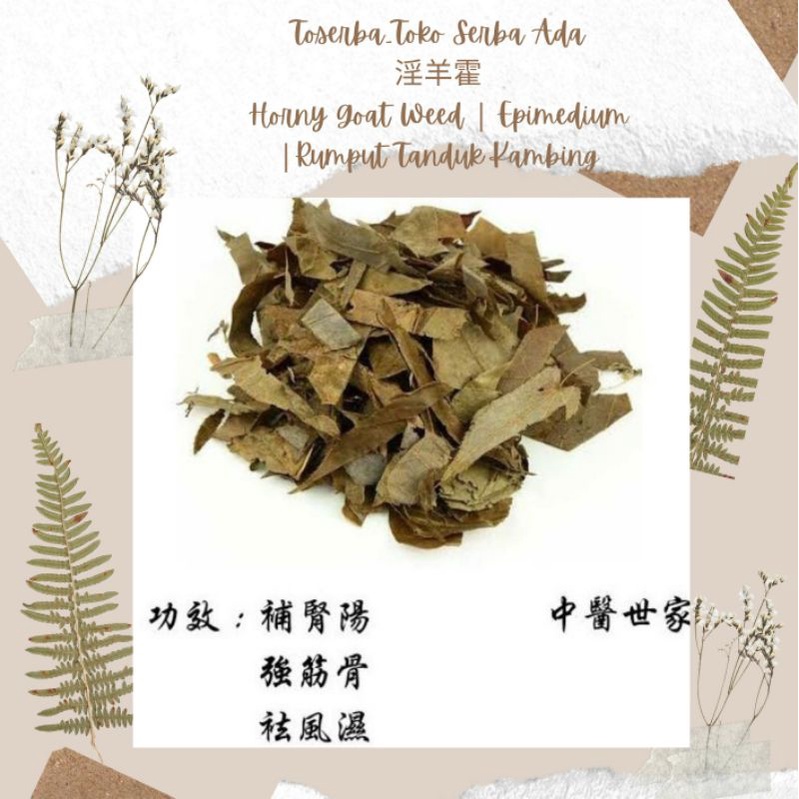 

100gr herbal yin yang huo horny goat 淫羊藿 epimedium barrenwort topi uskup sayap peri gulma kambing horny epimedium brevicornu maxim rumput tanduk kambing horny goat weed grade a