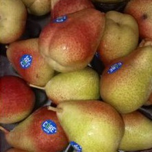 

Pear Afrika & Packham