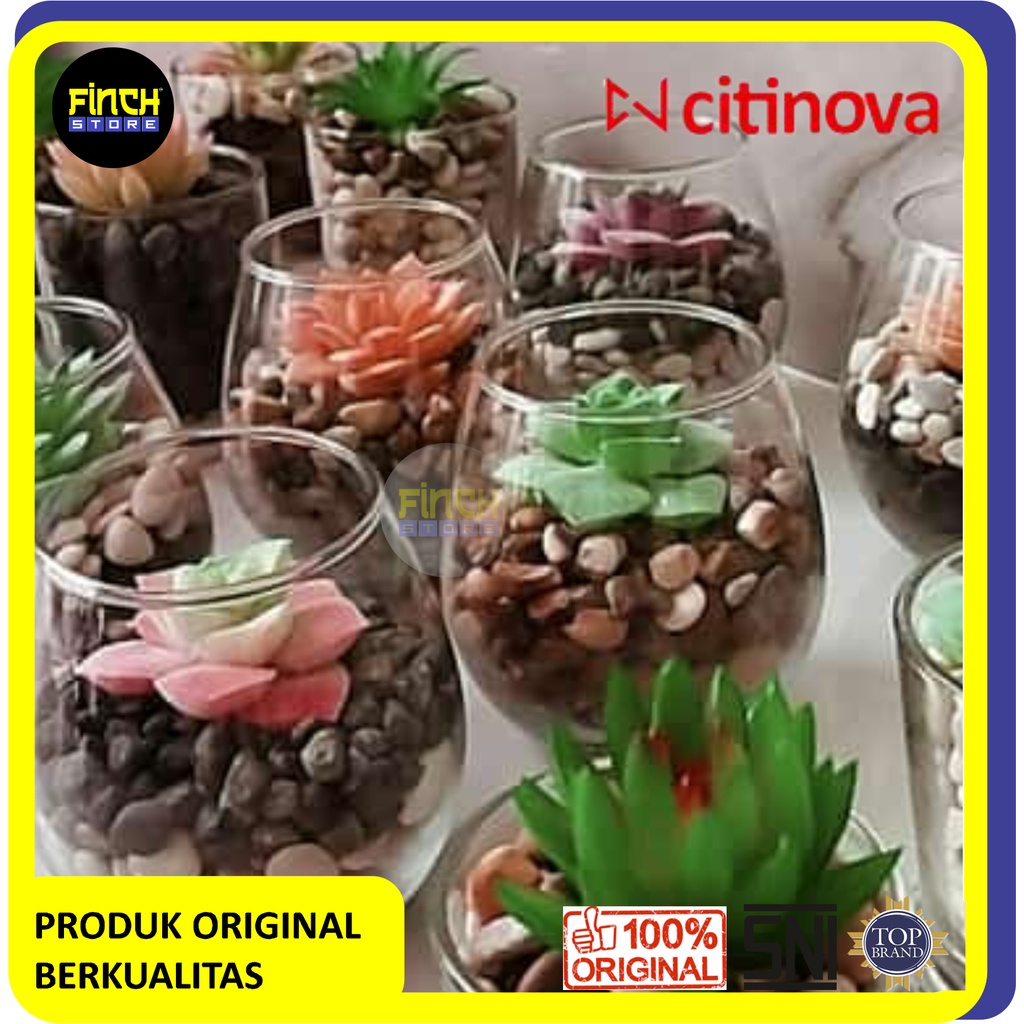 CITINOVA Gelas Dalgona Esthetic / Gelas Bubble Tuscany isi 6 Gelas 450ml Gelas Unik Cantik-2