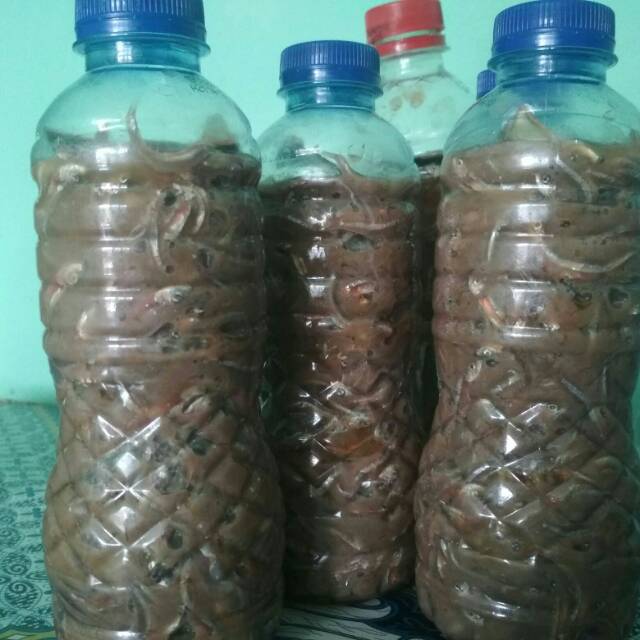 

RUSIP BELITUNG