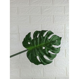 Daun Monstera Import Kecil  bunga  plastik  daun 