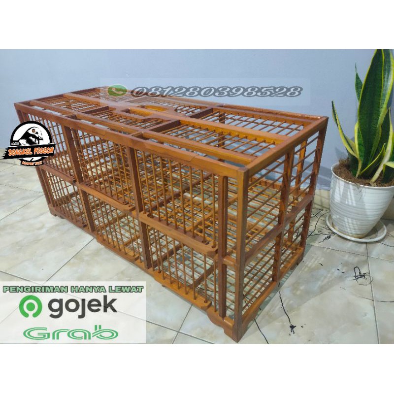 dondang kandang jemur kayu jati plitur merpati jumbo ukuran 3 pasang khusus merpati kolongan