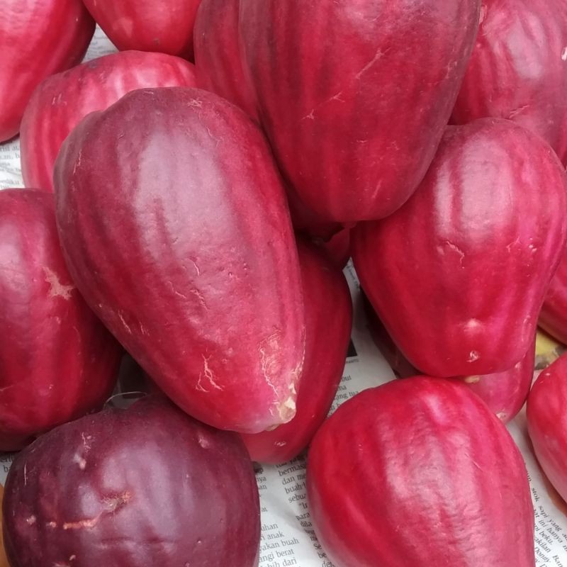 Buah Jambu Bol Jamaika Fresh 1kg