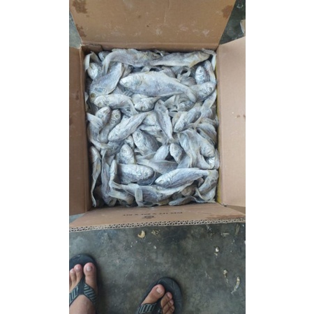 

ikan asin kepala batu 250gr