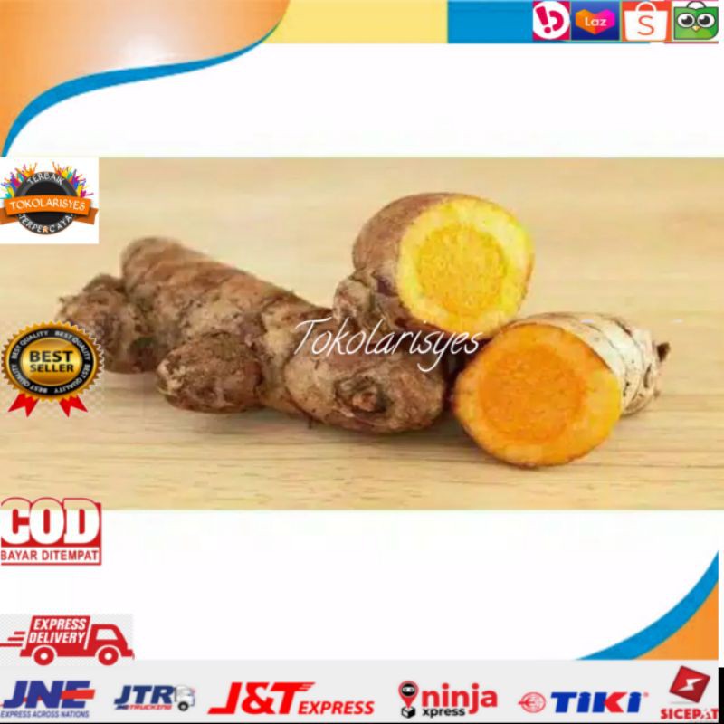 

TemuLawak/temu lawak segar organik