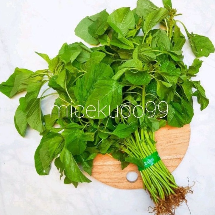 Jual Bayam Akar Organik Segar Fresh Sayur Daun Spinach Organic Bali