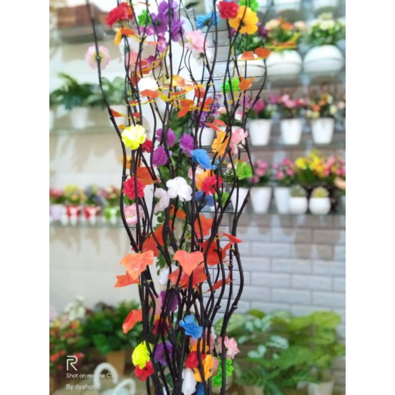 Bunga bambu ulir cendani#bunga pojokan