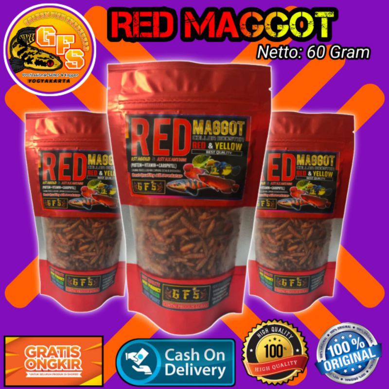 Pakan ikan GFS feed store RED MAGGOT Maggot red&amp;yellow booster