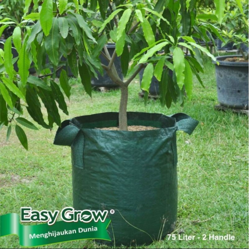 planter bag easy grow 75 Liter