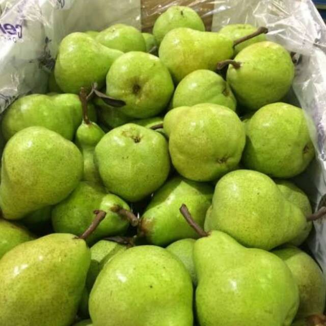 

Buah pear / pir packham - 500 gram