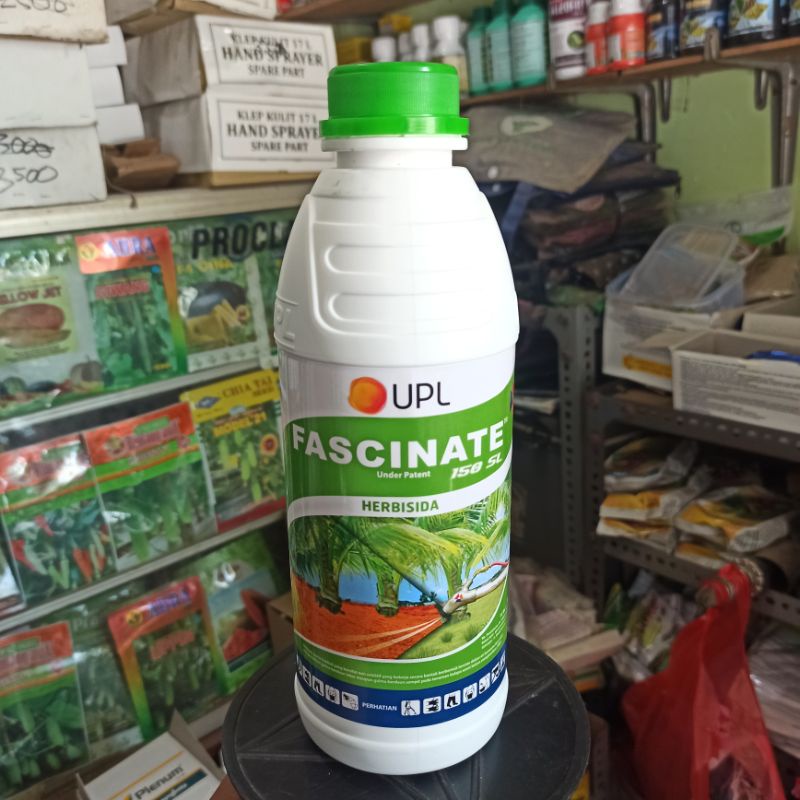 HERBISIDA FASCINATE 150 SL 1 LITER PEMBASMI GULMA TEKI | SUKET TEKI