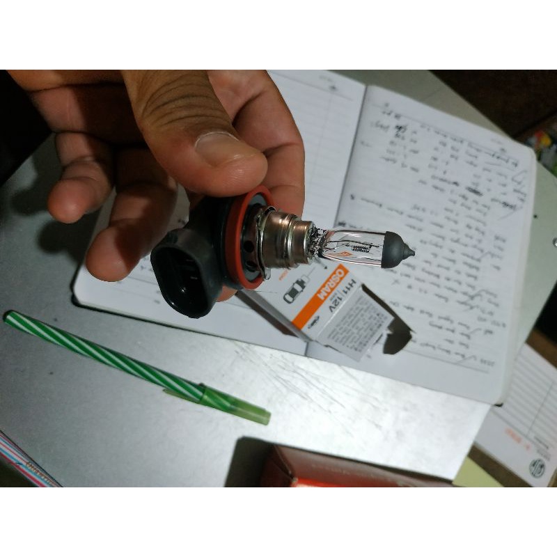 Bola Lampu Osram H11 12V 55W