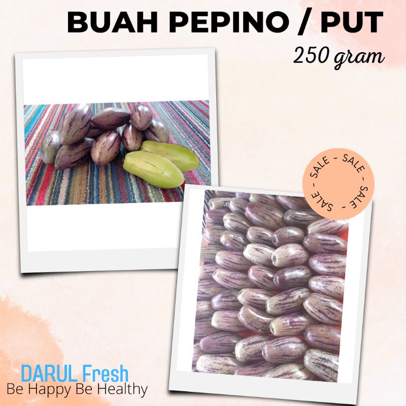 

buah papino 250 gr