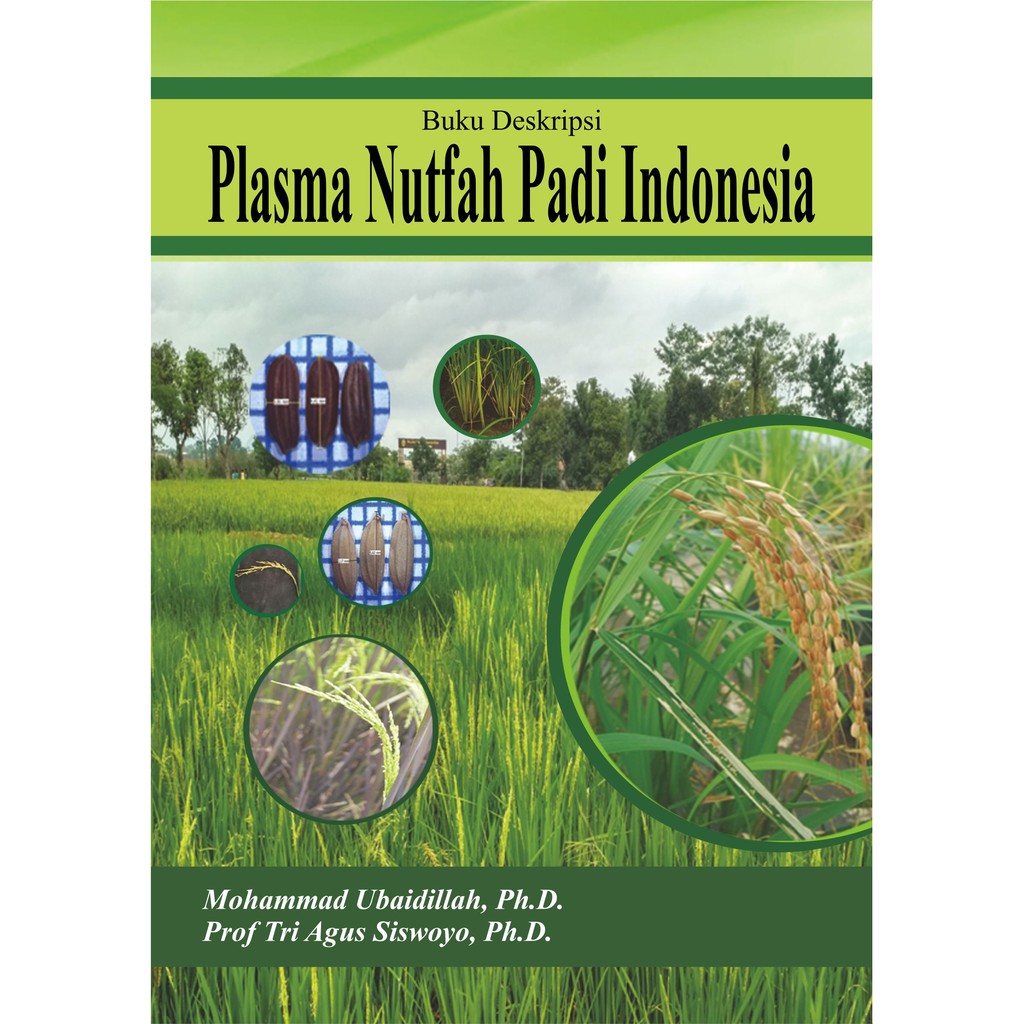 Deepublish - Buku Deskripsi Plasma Nutfah Padi Indonesia