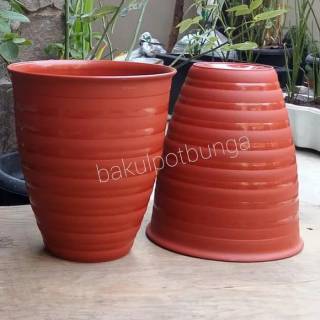  Pot  Tawon  Tirus  Tinggi Pirus 18 cm Shopee Indonesia