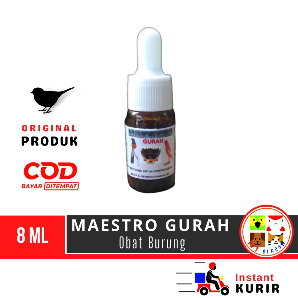 Obat Vitamin Burung MAESTRO GURAH Untuk Mengeluarkan Lendir Pada Saluran Pernafasan Burung Ocehan Ki