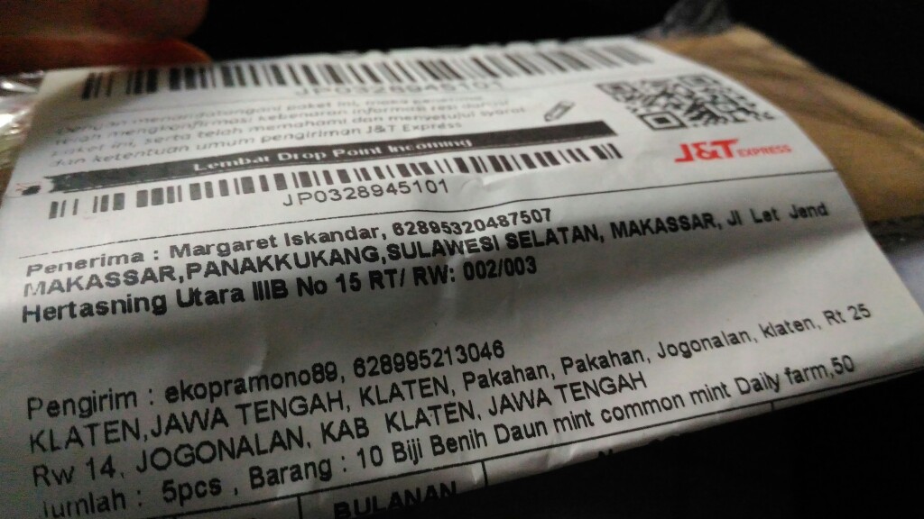 50 Benih Kemangi Repack