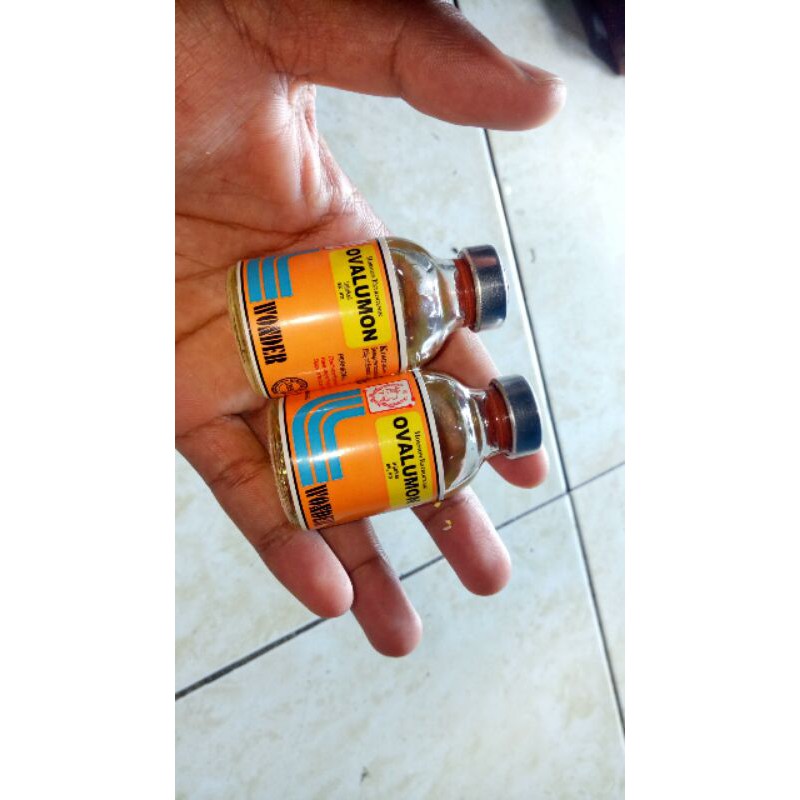 obat birahi hewan ovalumon