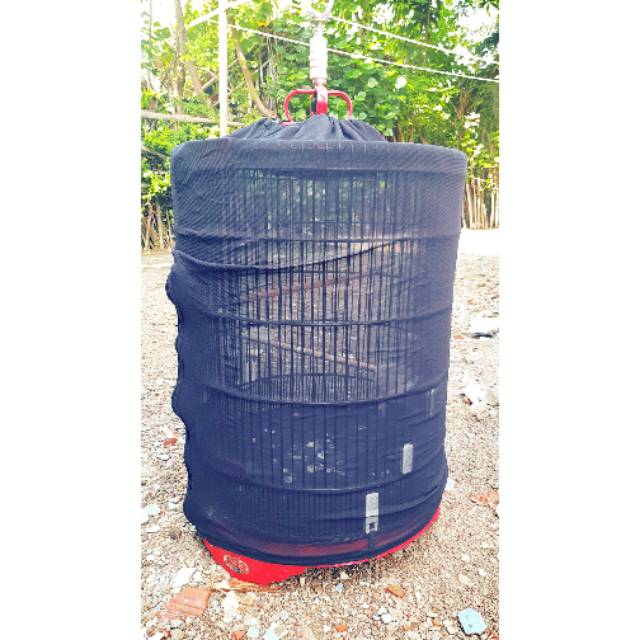 Kerodong transparan sangkar murai