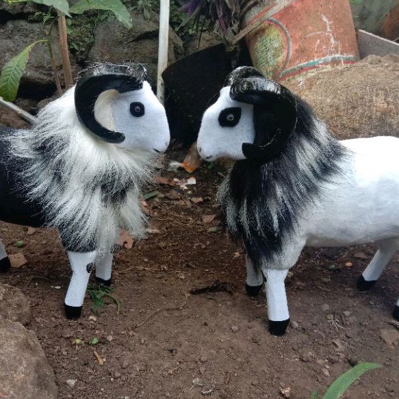 BONEKA DOMBA ADU JANTAN