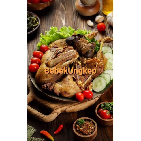 

Ayam Petelur chef retro khas kartasura