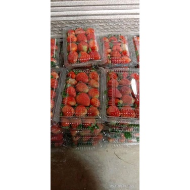 

setrowbery buah segar