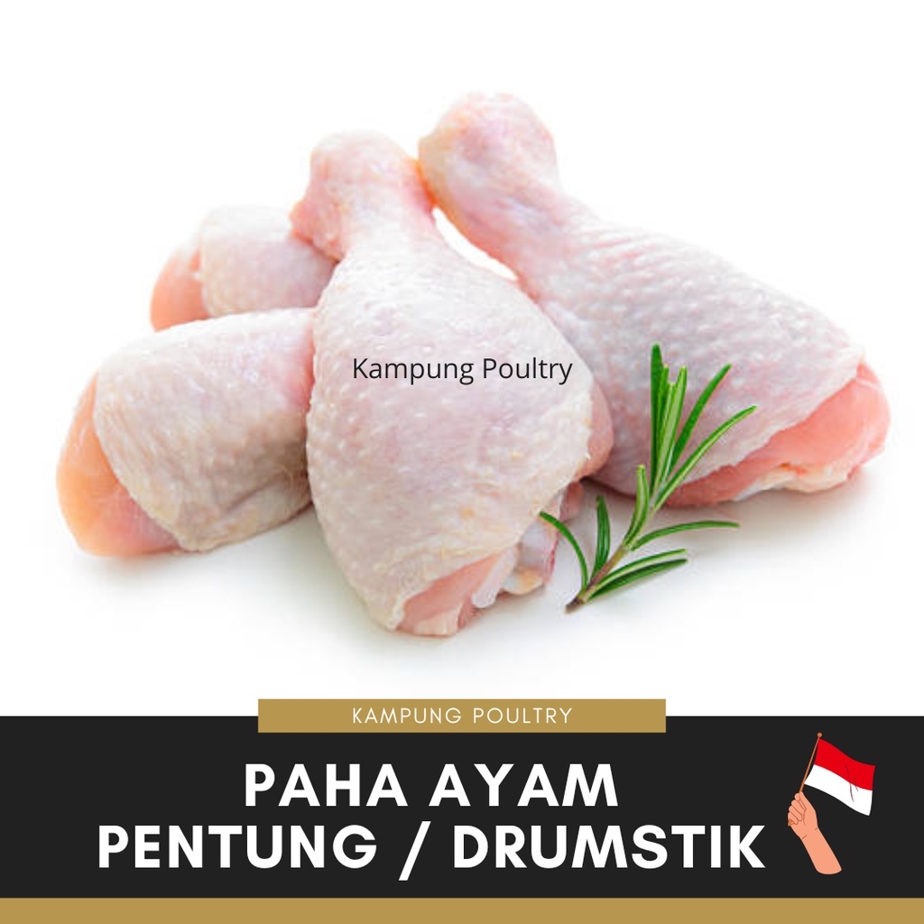 

PAHA AYAM KULIT PENTUNG DRUMSTICK