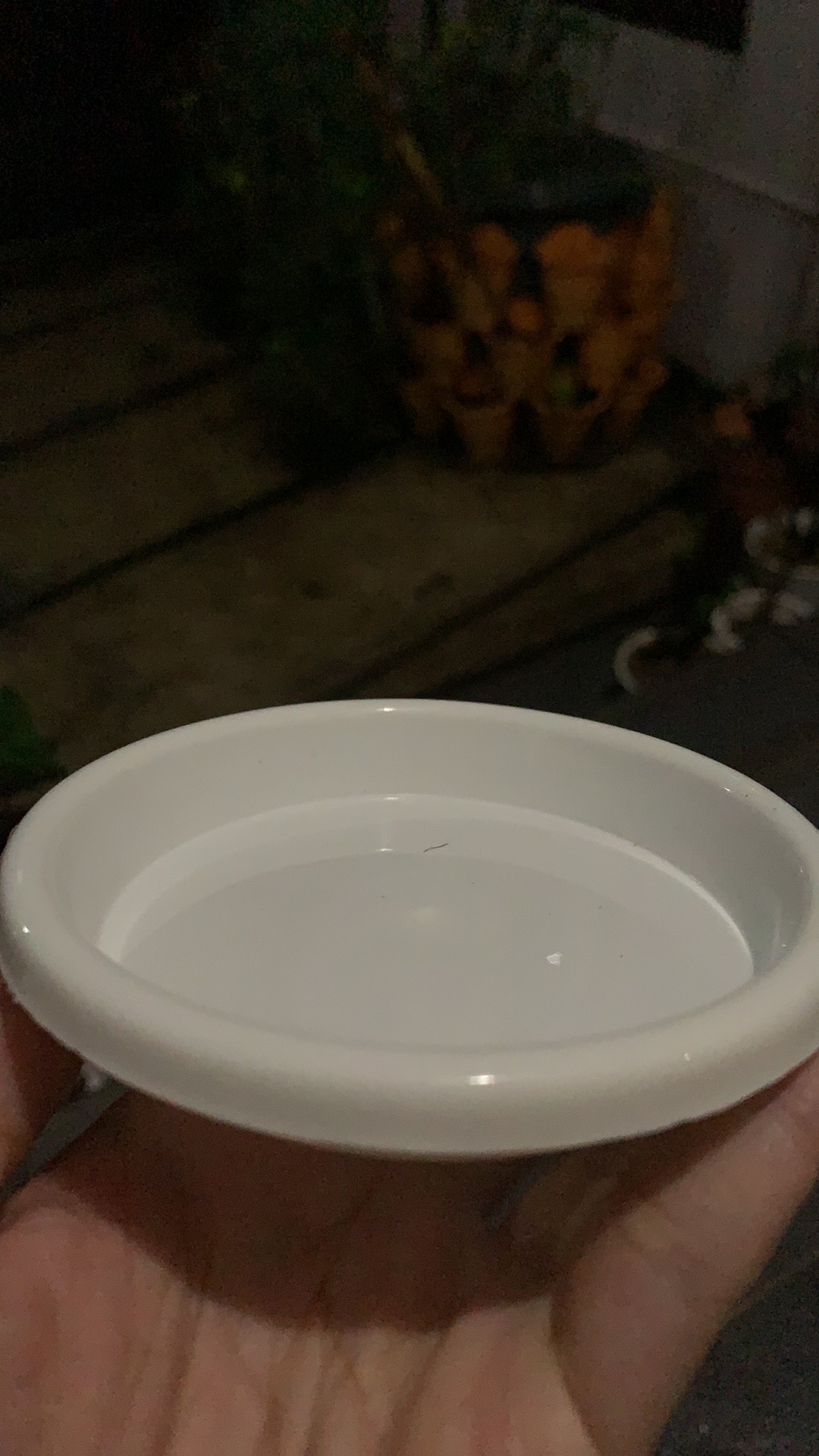 Tatakan Mini 10 Cm Putih