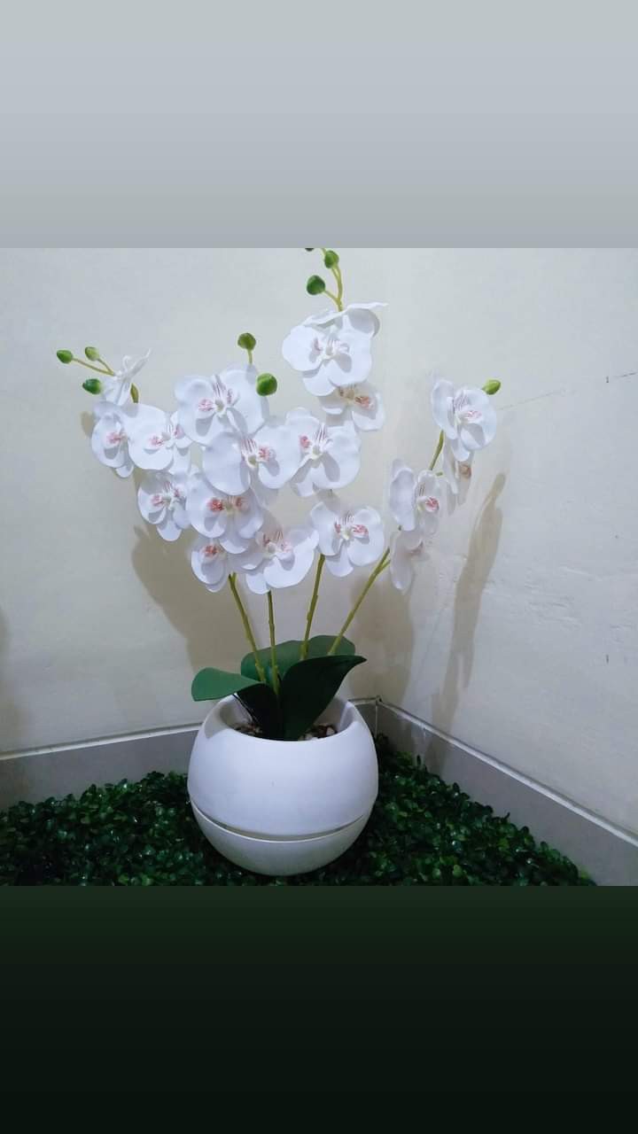 Tanaman Buah Artificial (bisa Cod)