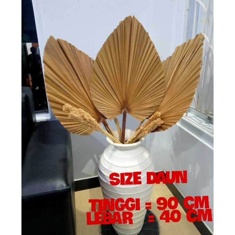 DAUN PALEM KERING/DAUN PALM KERING/PALEM KERING/DAUN KERING DEKORASI/PALEM/DEKORASI/BUNGA KERING