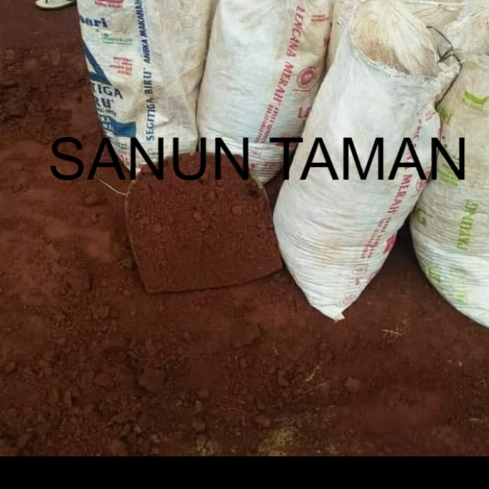 tanaman merah subur karungan//media tanam tanah murni