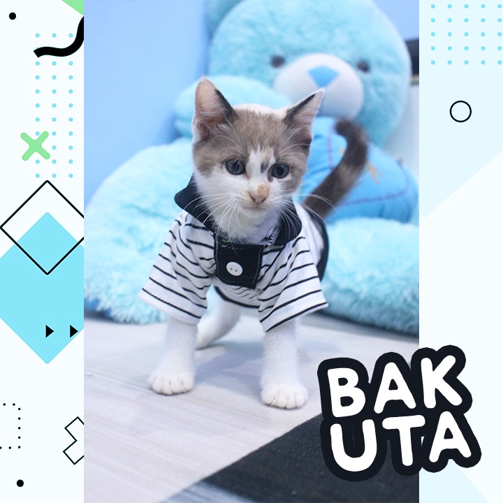 Kaos Lengan panjang polo No Motif #3404 / Baju Kucing tangerang murah / baju kucing lucu size S-XL