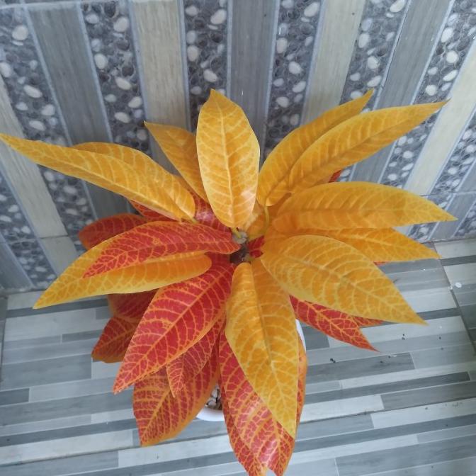 pohon puring plastik, pohon plastik, tanaman plastik, pohon artificial