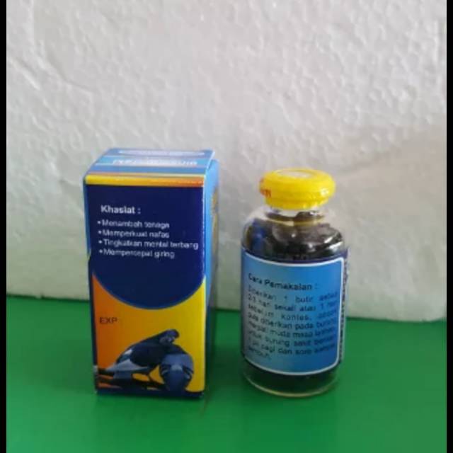 Ginseng teki doping burung merpati pos
