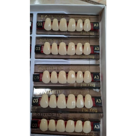 Dental gigi palsu YP per box..