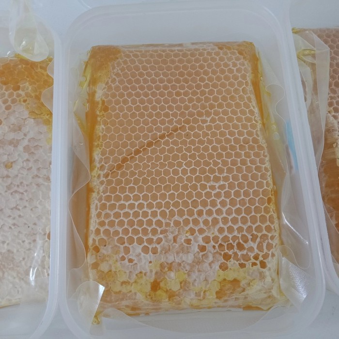 

Baru Madu Sarang Tupperware Kemasan Polos Milifera 500Gr Honey Comb