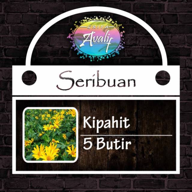 Seribuan Benih Kipahit 5 Butir