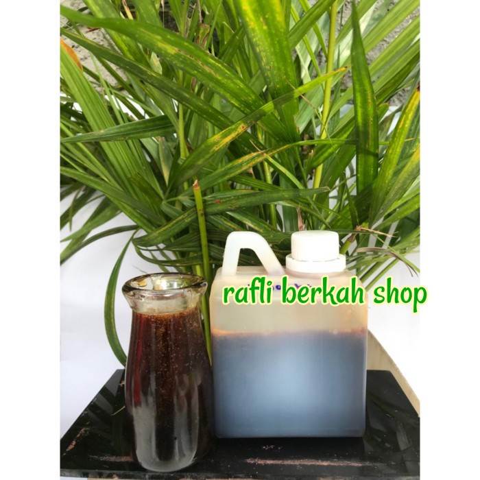 

b01n1nh Madu Murni Hitam Pahit Kental. Tanpa Campuran Herbal 500 Gr Ds201Fs