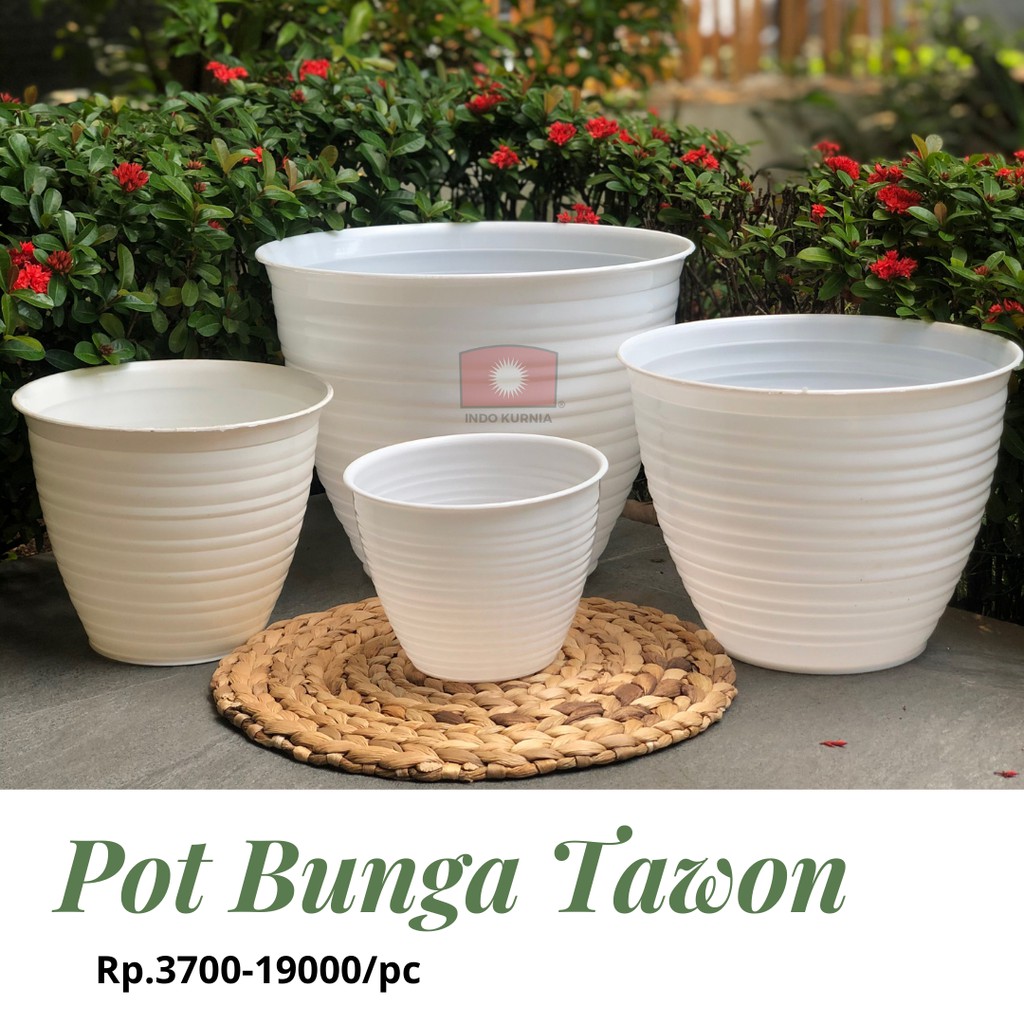  POT  BUNGA  MOTIF  TAWON PUTIH Shopee Indonesia