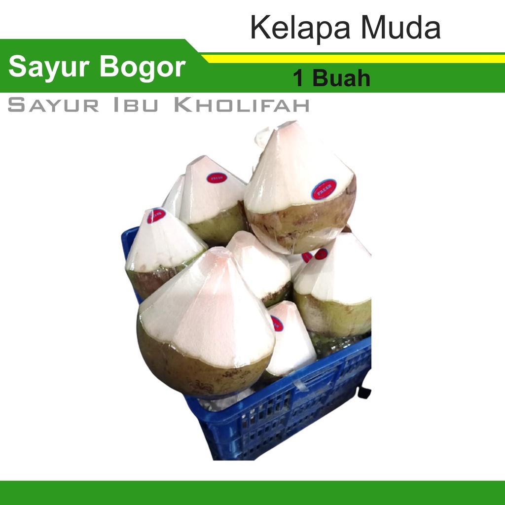 

Kelapa Muda 1Pcs Toko Total Buah Segar Pasar Online Bogor