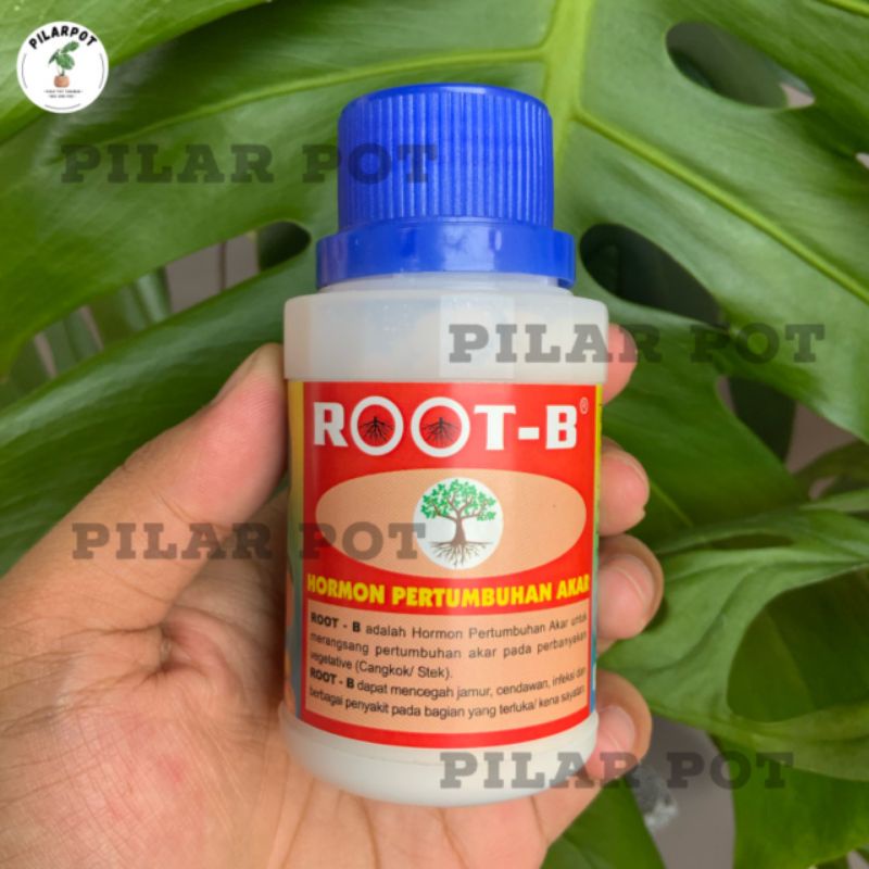 ROOT - B 100 GR pupuk pertumbuhan akar dan mencegah jamur pada tanaman