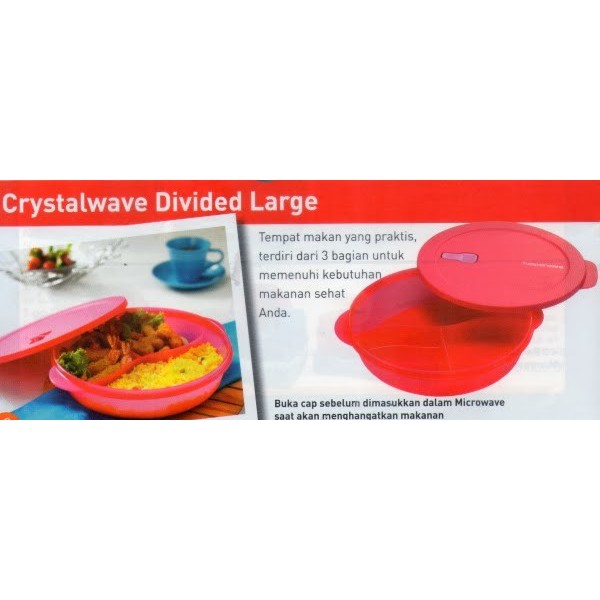 Crystalwave Divided Large Tupperware