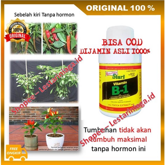 BELI 1 GRATIS 1 Hormonik Grow Plant Pemulihan Pohon Lemah Merangsang Pertumbuhan Akar ORIGINAL