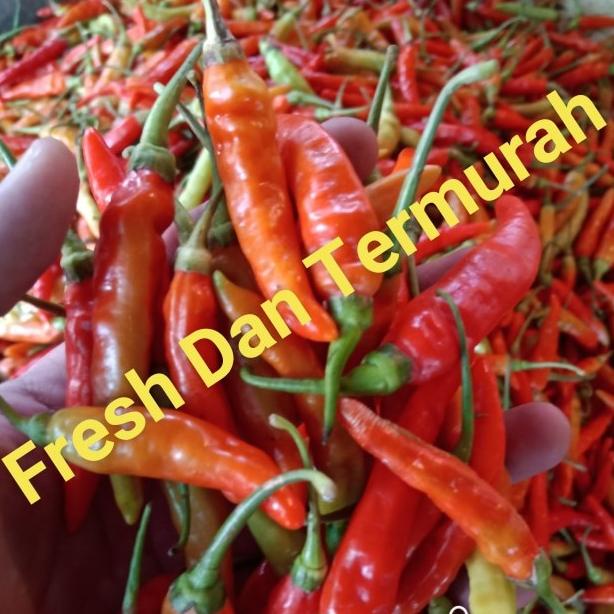 

Cabe Rawit Merah Jablay setan Galak 1 kg