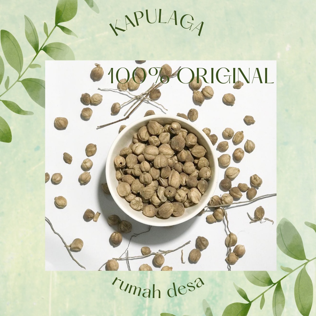 

Kapulaga 500gr, Bumbu, Rempah, Masakan