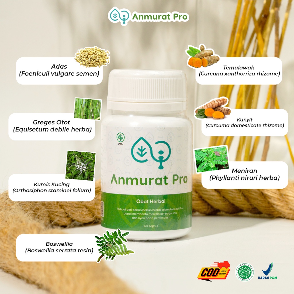 Anmurat Pro Obat Asam Urat dan Kolesterol Nyeri Sendi Pegal Linu Rematik Kaki Kebas Baal Herbal Paling Ampuh Ori Bpom